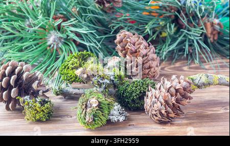 Rami di alberi coperti di muschio verde e pigne su un tavolo di legno con rami di pino Foto Stock