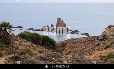 Arrecife de las Sirenas, pilastro roccioso e formazioni vulcaniche incorniciate da palme nane mediterranee nel Parco Naturale di Cabo de Gata-Níjar, Almeria. Foto Stock