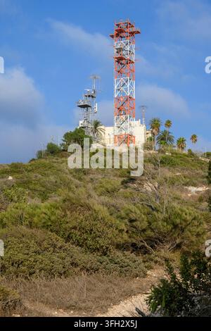 Le torri di telecomunicazione si ergono sopra la macchia mediterranea e le palme sul Monte Carmelo a Stella Maris ad Haifa, in Israele. Foto Stock
