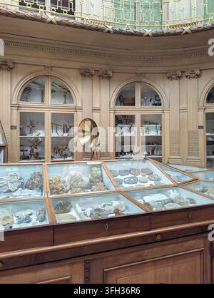 Il Teylers Museum è un museo di arte, storia naturale e scienza a Haarlem, Paesi Bassi. Sala della collezione di minerali. Foto Stock