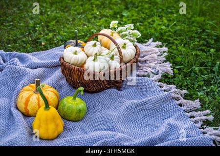 Picnic di raccolta autunnale con zucche e cucurbitacee su una coperta all'aperto Foto Stock