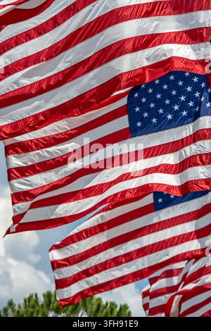 Bandiere statunitensi spiegate che sventolano davanti al Florida Welcome Center lungo la I-75 vicino al confine tra Florida e Georgia. (USA) Foto Stock