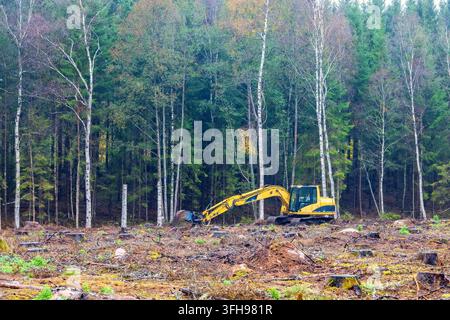 Escavatore che scava una trincea in un disboscamento vicino alla foresta Foto Stock