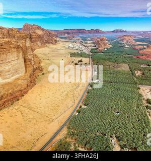 ARABIA SAUDITA. AL-ULA. BOSCO DI PALME NELL'OASI DELLA VALLE DI AL-ULA. ESTENDENTESI SU PIÙ DI 2.000 ETTARI, L'OASI DI AL-ULA È UNA DELLE OASI PIÙ IMPORTANTI Foto Stock