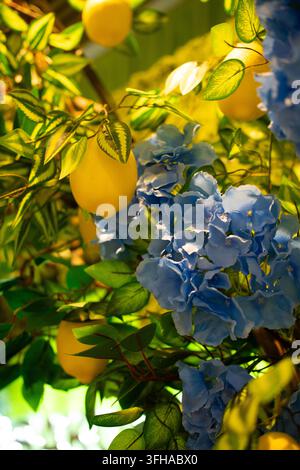 Una fotografia stock a distanza ravvicinata verticale che mostra rami di albero di limone artificiali con limoni gialli brillanti e fogliame verde a motivi, intrecciati con Foto Stock