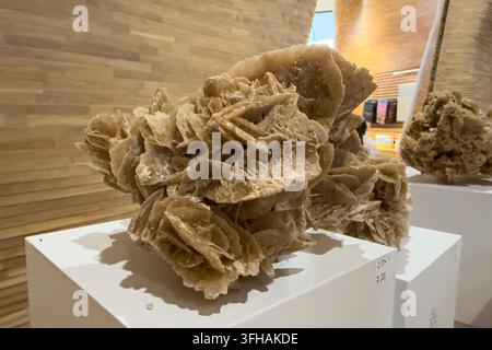 Doha, Qatar - 10 settembre 2026: Pietra rosa del deserto. Minerale del deserto del Sahara, vista dall'alto. Bella fiore della natura fatto di sabbia - rosa del deserto. Foto Stock