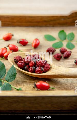 Vista laterale di Rosa canina essiccata, la rosa canina o le bacche di rosa canina su un cucchiaio di legno, decorata con bacche fresche e foglie di rosa canina verdi. Foto Stock
