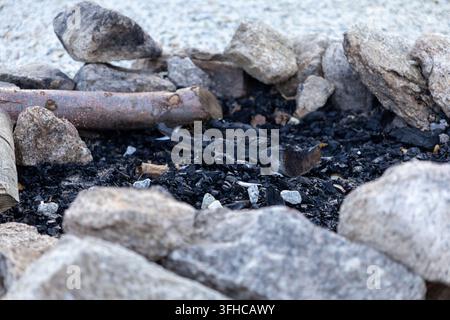 Una vista ravvicinata di una piazzola per fuochi da campo fredda, che mostra carbone nero, cenere grigia e legno carbonizzato, circondata da pietre naturali robuste, per le conseguenze all'aperto Foto Stock