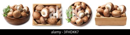 Funghi champignon freschi in ciotola e cassa isolati su bianco, collage. Vista superiore e laterale Foto Stock