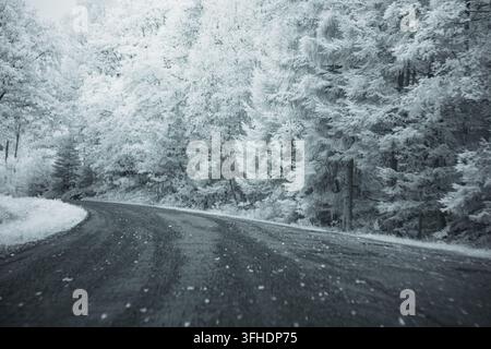 Una strada tortuosa si snoda attraverso un paesaggio pieno di alberi illuminato dalla luce infrarossa. La neve copre il terreno e i rami, creando una scena unica durante il win Foto Stock