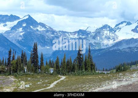 Un paesaggio montano scenografico con picchi frastagliati, una vasta foresta di conifere e un sentiero che attraversa prati alpini, Blackcomb Gondola. Whistler Foto Stock
