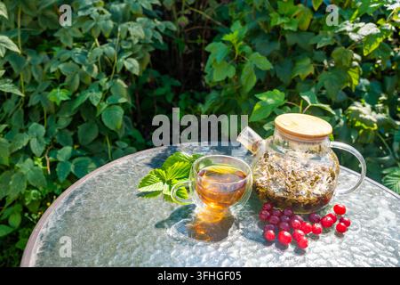 Bicchiere di vetro e teiera con tè alle erbe servito con ciliegie fresche e foglie di giardino. L'infuso fatto in casa rappresenta la preparazione di bevande da piante di giardino Foto Stock