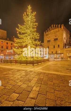 Vista di un albero di Natale luminosamente illuminato che si erge nella storica Piazza Maggiore di notte, circondato da architettura medievale e ciottoli Foto Stock