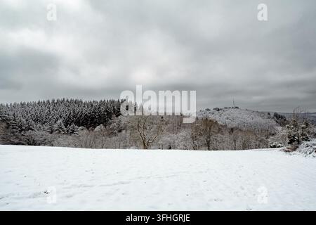 Questa fotografia di paesaggio invernale ad alta qualità mostra concetti di foresta montana per climi freddi stagionali e natura rurale invernale con un'ampia prateria coperta di neve che riempie il primo piano. La Foto Stock