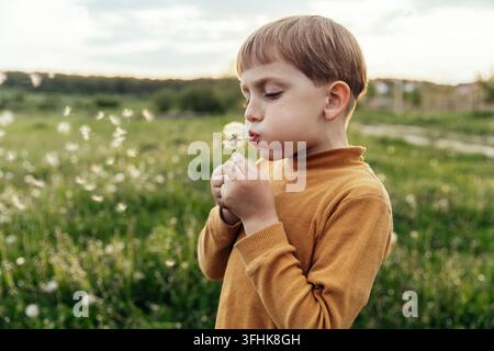 Bambino tiene e soffia un fiore di tarassaco con semi. Bambino in un prato al tramonto. Foto Stock