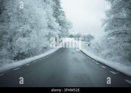 La scena mostra una strada che si snoda attraverso alberi fitti che appaiono luminosi a causa del filtro infrarosso. Un piccolo edificio è visibile in lontananza sotto gr Foto Stock
