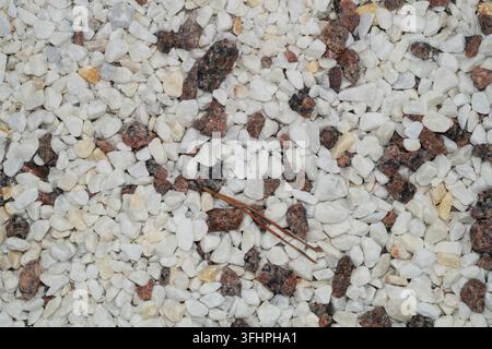 Miscela di ghiaia decorativa con ciottoli bianchi e pietre vulcaniche rosse Foto Stock