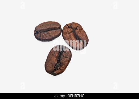 Primo piano di chicchi di caffè tostati su sfondo bianco pulito con dettaglio macro di superfici screpolate e toni marroni caldi in composizione a trio Foto Stock