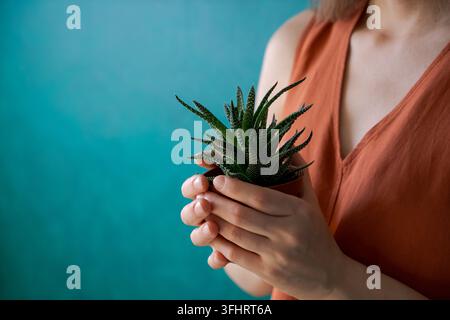Immagine ritagliata di una donna che tiene una pianta succulenta in vaso. Belle piante d'appartamento come Foto Stock