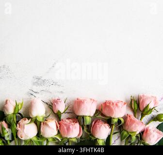 Le rose rosa telaio Foto Stock