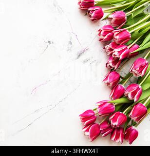 Tulipi rosa primaverili su uno sfondo di marmo bianco Foto Stock