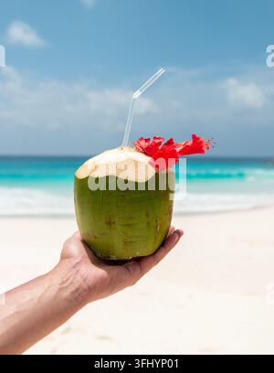 Godendo una rinfrescante bevanda alla noce di cocco sulle spiagge incontaminate delle Seychelles Foto Stock