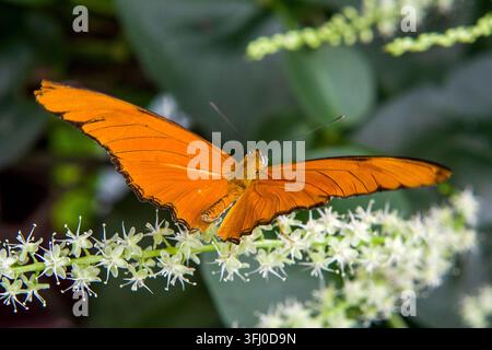 010-102023-22 Foto Stock