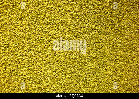 Tappeto in peluche giallo vivace e vaporoso con texture di pavimento e fibre morbide dense Foto Stock