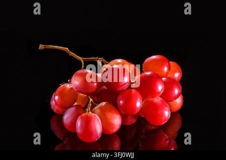 Macro laterale di grappolo di acini freschi di uva rossa rosa con gambo su sfondo nero lucido Foto Stock