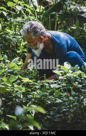Sett'15.2026 Dehradun Uttarakhand India. Uomo anziano che cura piante a foglia nel vibrante giardino domestico di Dehradun, Uttarakhand, India, godendosi un approccio olistico Foto Stock