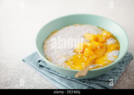Budino di semi di chia da latte di cocco con purea di mango e cubetti nel recipiente. Cibo vegano. Concetto di mangiare pulito Foto Stock