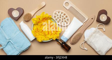 Ingredienti naturali organici per la cura della pelle a casa. Cosmetici detergenti e nutrienti. Vista dall'alto. Foto Stock