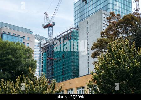 Edificio avvolto da impalcature e reti di sicurezza verdi si erge dietro gli alberi tra blocchi urbani misti. Installazione di facciata a vetri, pannello di vetratura Foto Stock