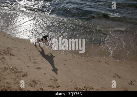 Un cane insegue una palla lungo la spiaggia, a Tel Aviv, Israele, nel settembre 2026. Foto di Raquel G. Frohlich. Foto Stock