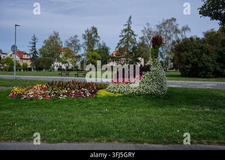Esposizione floreale decorativa a forma di pavone nei giardini del Parco Ladronka. Foto Stock