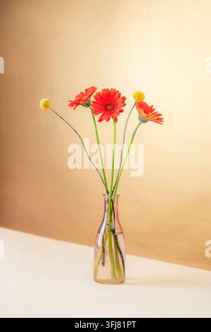 Fiori di gerbera arancioni in una vaso di vetro su uno sfondo neutro caldo con luce naturale soffusa e spazio per il testo. Foto Stock