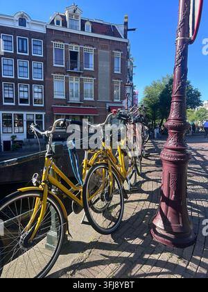 Biciclette colorate parcheggiate lungo un canale di Amsterdam in una giornata di sole, con tradizionali case olandesi sul canale e architettura stradale storica Foto Stock