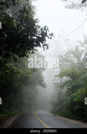 Vista panoramica di una tortuosa strada asfaltata con una corsia gialla che passa attraverso la fitta foresta pluviale tropicale del Parco Nazionale Bukit Barisan Selatan, Foto Stock