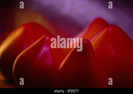 Macro close-up di pomodori cuore di bue maturi con illuminazione estetica al neon Foto Stock