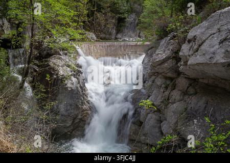Ruscello di montagna setoso che cade su una diga forestale Foto Stock