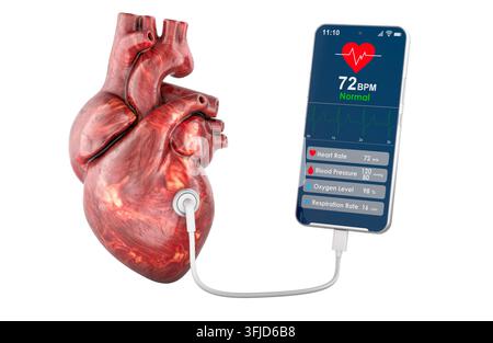 Cuore umano collegato a un'app di monitoraggio della salute su smartphone che mostra polso, pressione arteriosa, ossigeno e respirazione. Rendering 3D isolato su sfondo bianco - Fotomontaggio Foto Stock