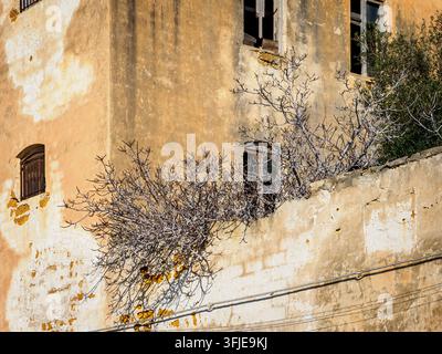 Facciata di un vecchio edificio che mostra intonaco ammaltato, finestre rotte e rami secchi che crescono da un muro Foto Stock