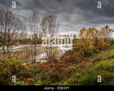 Il letto del fiume Taro mostra una vegetazione autunnale stagionale e nuvole scure in una giornata fresca Foto Stock
