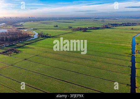 Vista a volo d'uccello che mostra il paesaggio dei polder olandesi con ampi campi verdi, canali d'acqua che si intersecano e lo skyline urbano lontano sotto un cielo azzurro Foto Stock