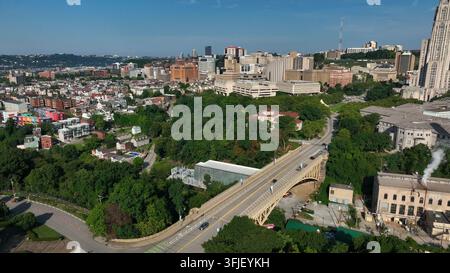 Ponte Schenley a Pittsburgh, PA. Tema dell'Università di Pittsburgh e della Carnegie Mellon University, Pennsylvania, Stati Uniti d'America (USA). Foto Stock
