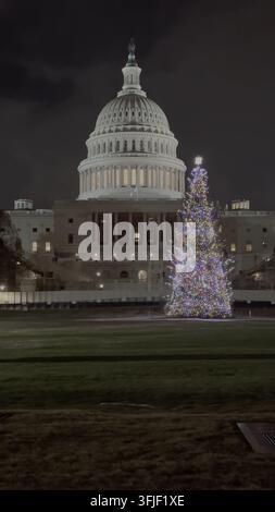 Scatto verticale di un albero di Natale illuminato e del Campidoglio degli Stati Uniti di notte. Ripresa ampia. Tempo di Natale in America. Architettura famosa contro la notte Foto Stock