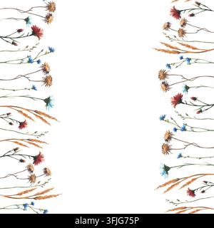 Cornice senza cuciture con fiori selvatici autunnali. Fiordalisi blu acquerellati, fiori secchi rossi e gialli, teste di cardo e grano dorato. Dipinto a mano Foto Stock