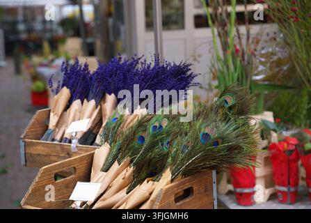 Mazzi di lavanda essiccata e mazzi decorativi con piume di pavone in casse di legno. Foto di alta qualità Foto Stock