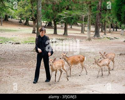 Donna che nutre cervi sika nel Parco di Nara, Nara, Giappone Foto Stock