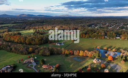 Stormo di uccelli che volano sopra un incantevole quartiere di periferia con campi e foresta in autunno. Giornata soleggiata in America. Ripresa aerea ampia. Case e abitazioni bet Foto Stock